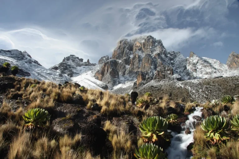 Mount Kenya National Park 01